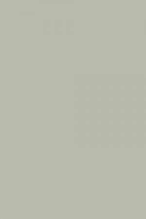 FARROW AND BALL LAMP ROOM GRAY NO. 88 PAINT